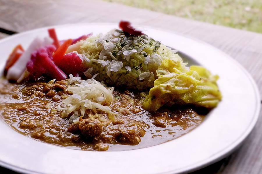 ポークジンジャーカレー